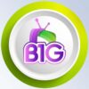 b1g IPTV